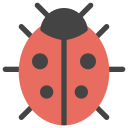 bug